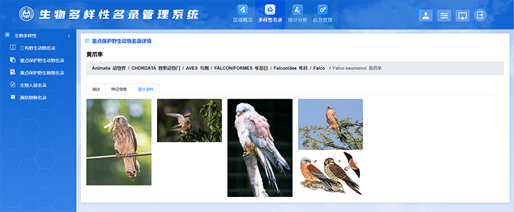 生物多样性名录管理.png 生物多样性名录管理.png