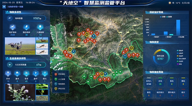 物种监测.jpg