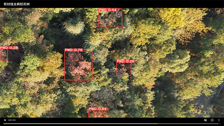 病虫害识别.jpg 病虫害识别.jpg