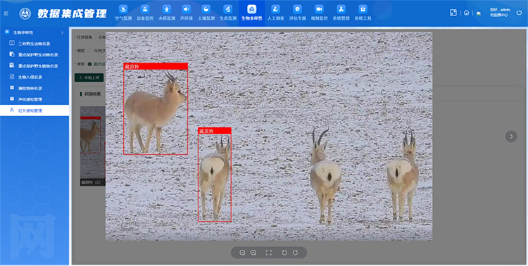 达斯特野生动物AI智能识别.jpg