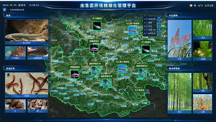 水生态环境精细化管理.jpg 水生态环境精细化管理.jpg