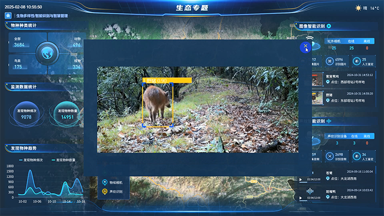 生物多样性.png 生物多样性.png